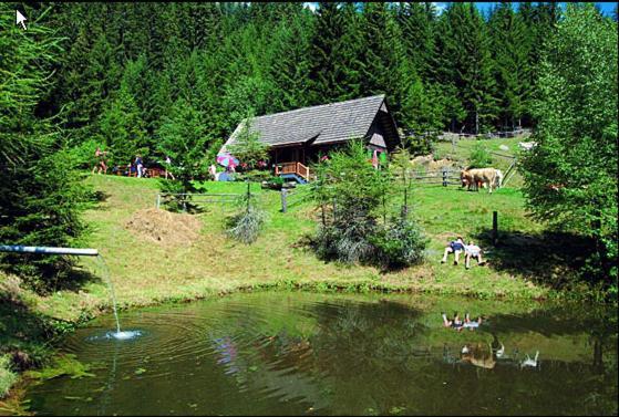 Panoramadorf Saualpe Hotel Eberstein Ngoại thất bức ảnh